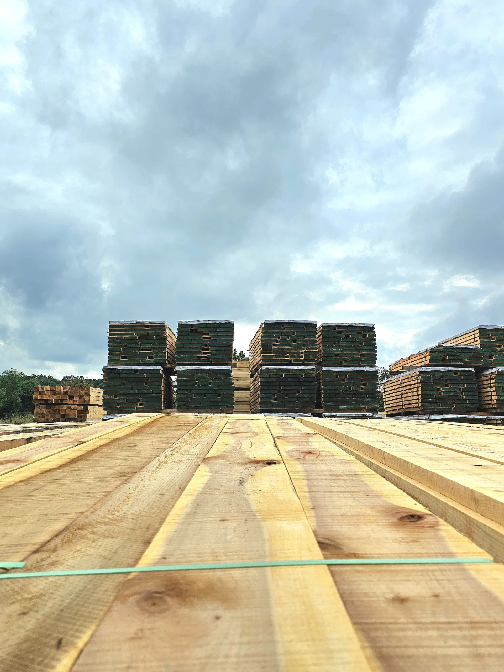 Stacks of freshly sawn hardwood lumber at Turman Forest Products sawmill in Virginia, prepared for kiln drying, flooring, pallets, and export markets.