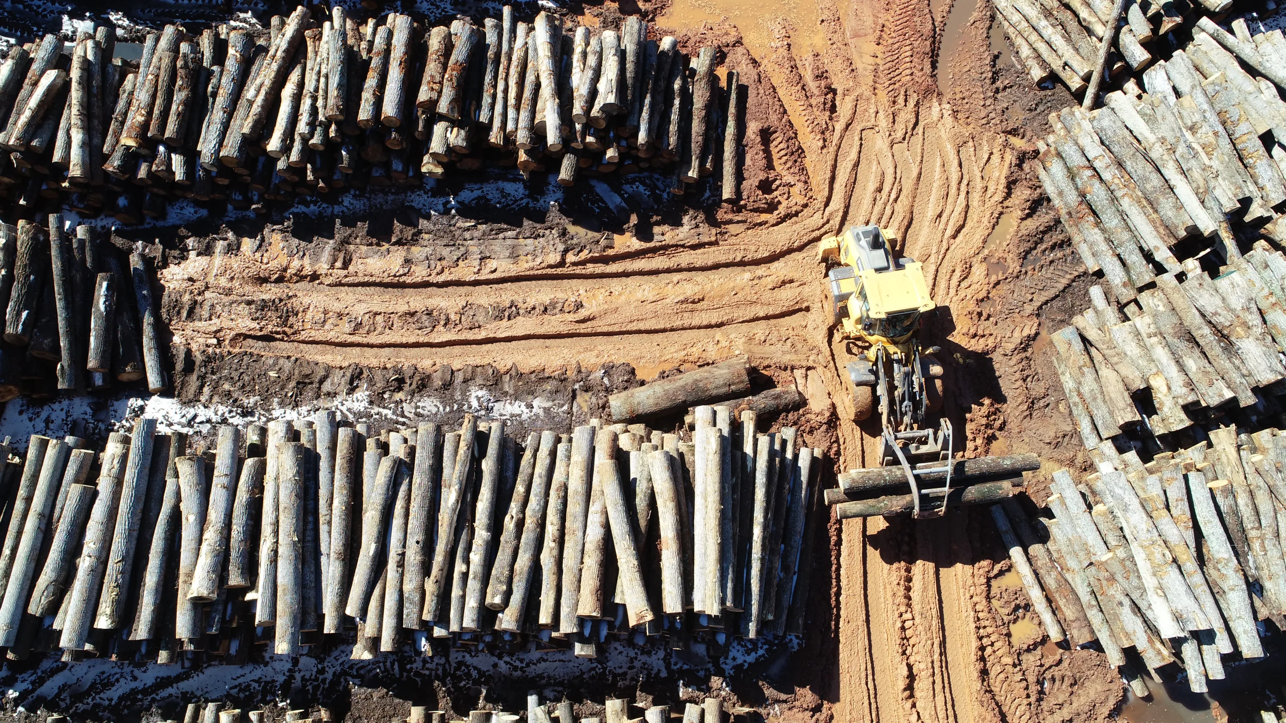 Aerial view of log yard at Turman Forest Products in Virginia, showing hardwood logs and a front loader moving timber for sawmill operations.