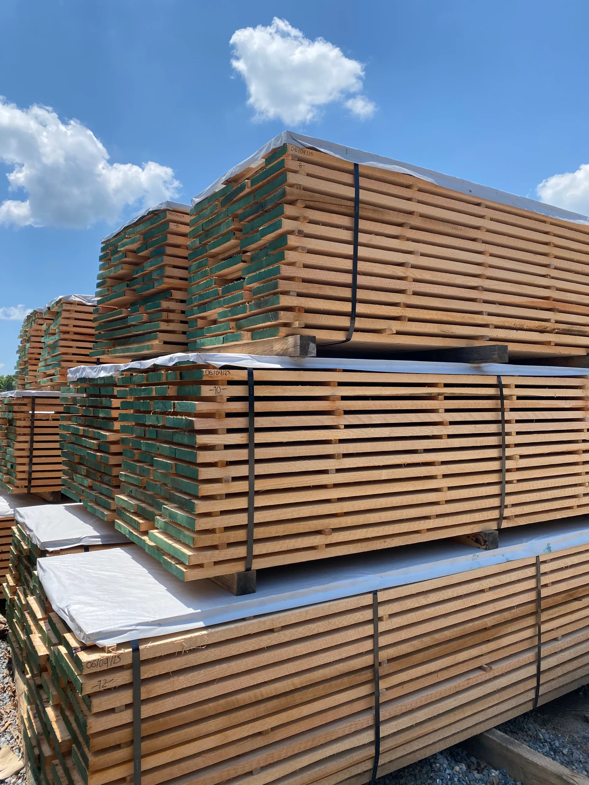 Stacks of shipping dry Appalachian hardwood lumber bundled and wrapped for export at Turman Forest Products yard in Virginia.